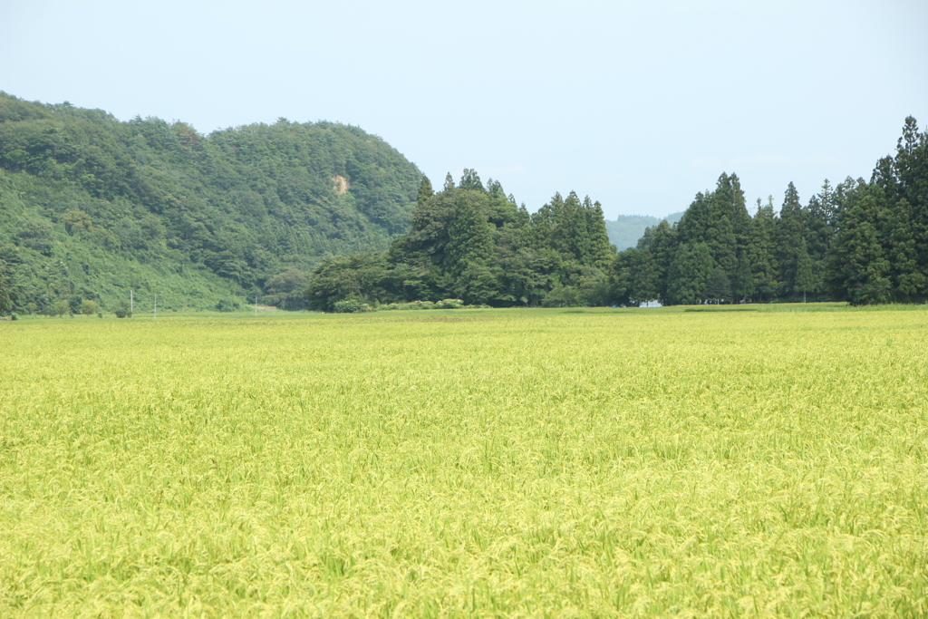 なつやすみ（4）