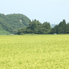 なつやすみ（4）