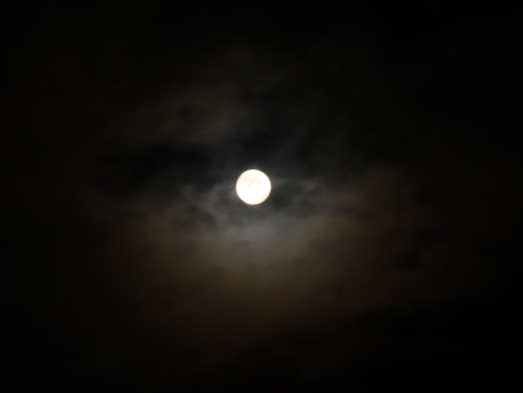 Luna（2）