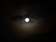 Luna（2）