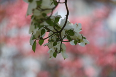 永続性