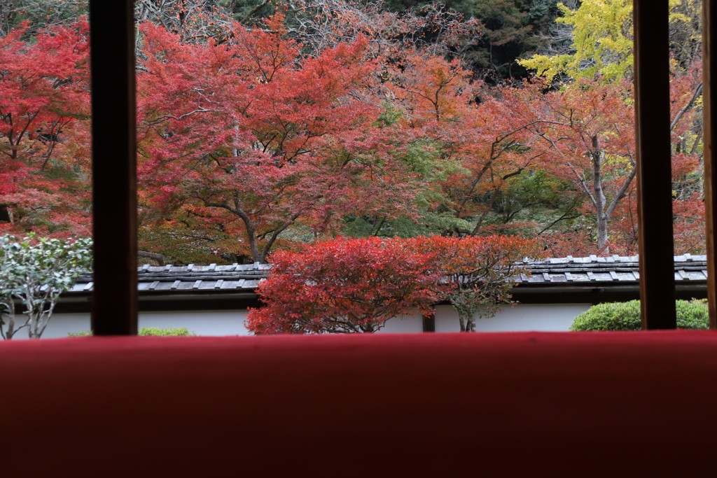 正暦寺　福寿院