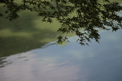 南湖（1）～栗林公園～