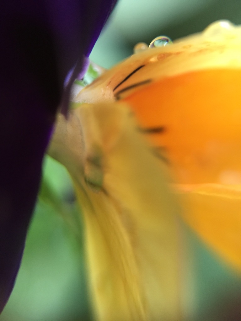 マクロであそぼ（33）