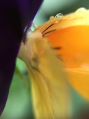 マクロであそぼ（33）
