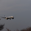 飛行機が来たぞ