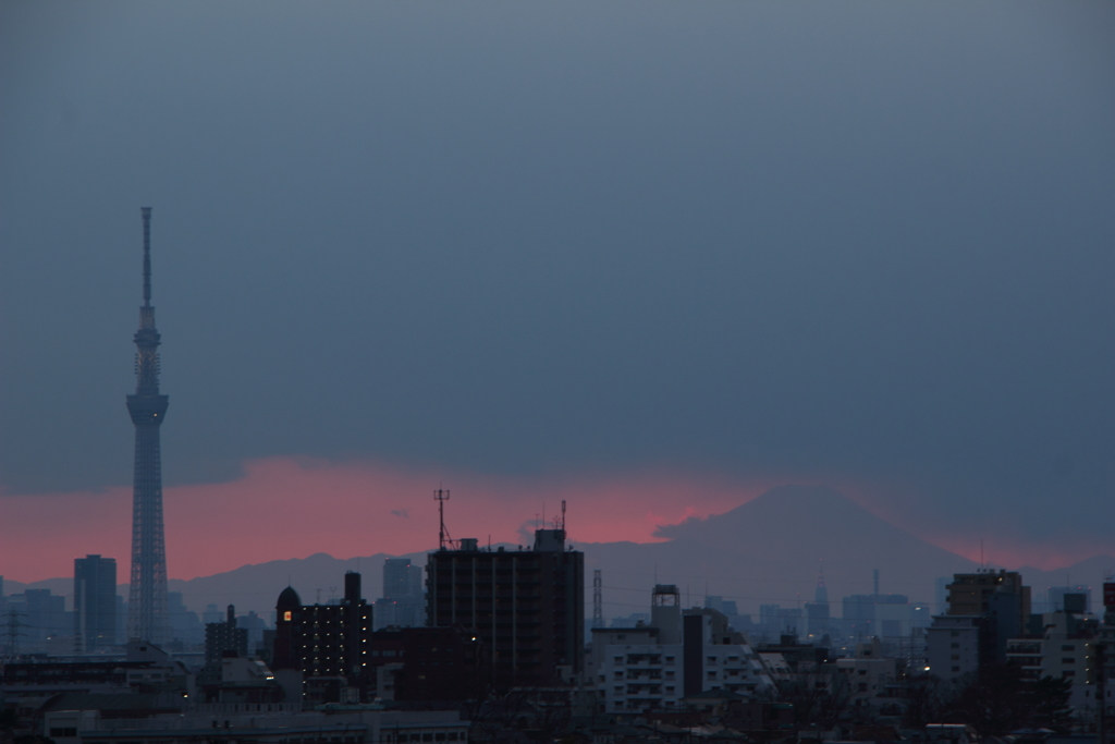 暗くなるのを待って
