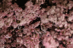 春夜