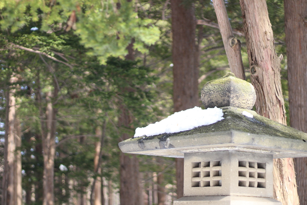 雪解け間近