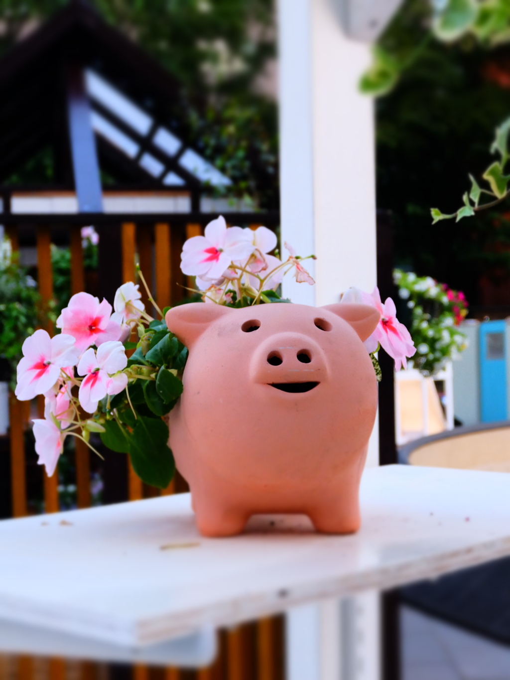 ボク、店番中です。