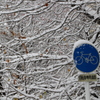 雪化粧した自動車専用道路