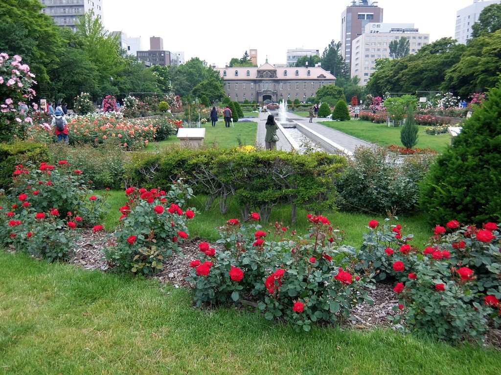 大通公園バラフェスタ