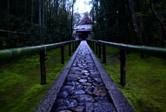 高桐院 