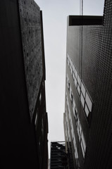 DSC_0964