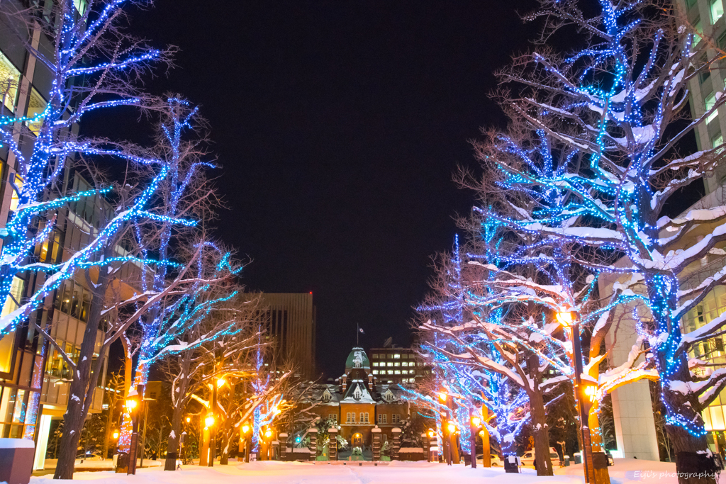 イルミネーション