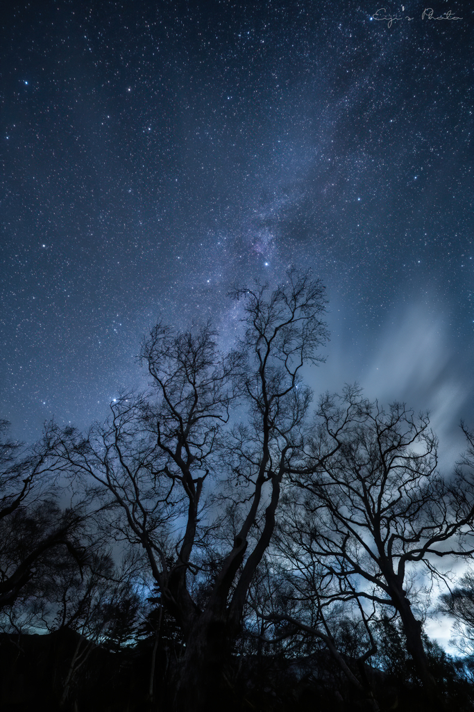 初冬の夜空