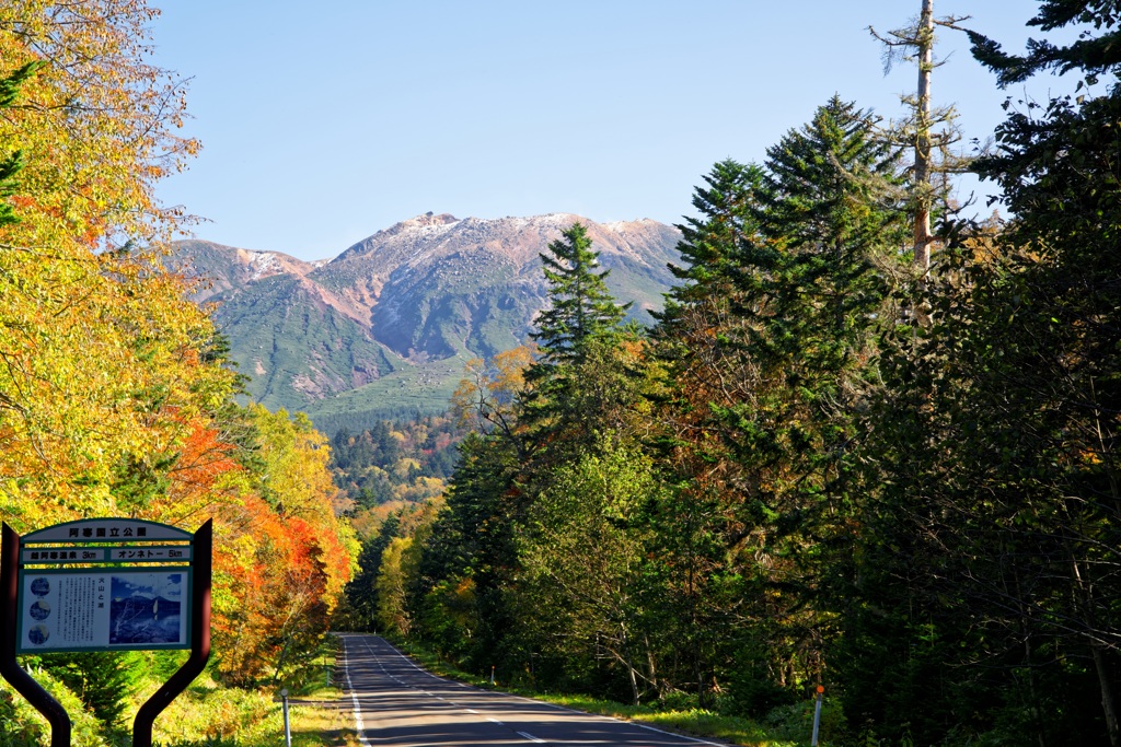 雌阿寒岳に続く道