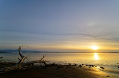 河口の夕景