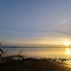河口の夕景