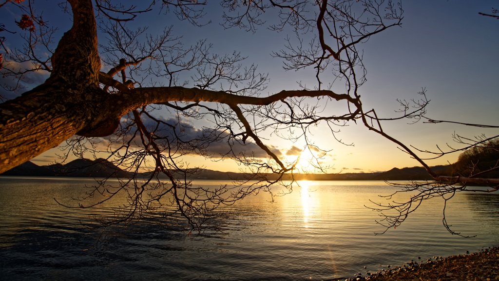 夕景