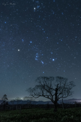 満天の星達