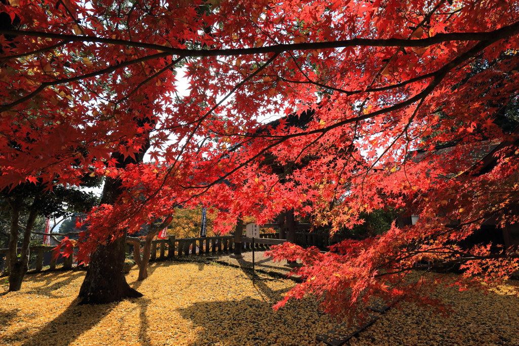 木山寺
