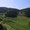 大垪和西棚田 2