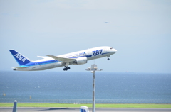 暑かった羽田空港２