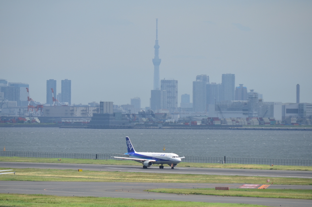暑かった羽田空港３