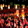 チューリップ　夜の公園　キャンドルナイト5