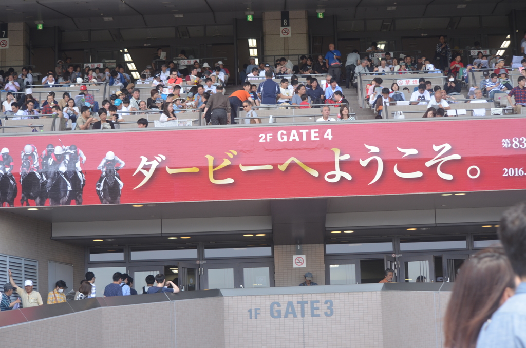 日本ダービー