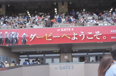 日本ダービー