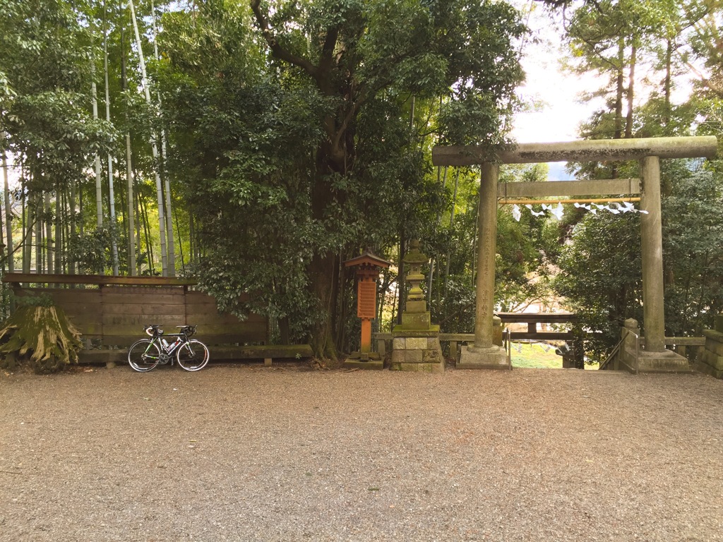 鳥居とロードバイク