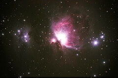 20250226M42