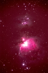 1029 オリオン大星雲