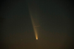 1013紫金山・アトラス彗星4