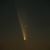 1013紫金山・アトラス彗星4