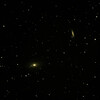 0217M81・M82