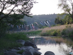 里川に鯉のぼり