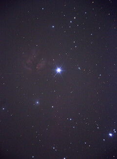 馬頭星雲...写らず。