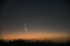 1013紫金山・アトラス彗星2
