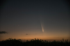 1013紫金山・アトラス彗星3