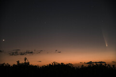 1013紫金山・アトラス彗星1