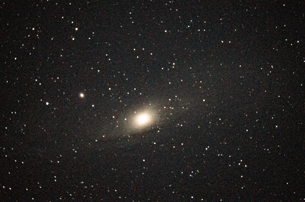 M31