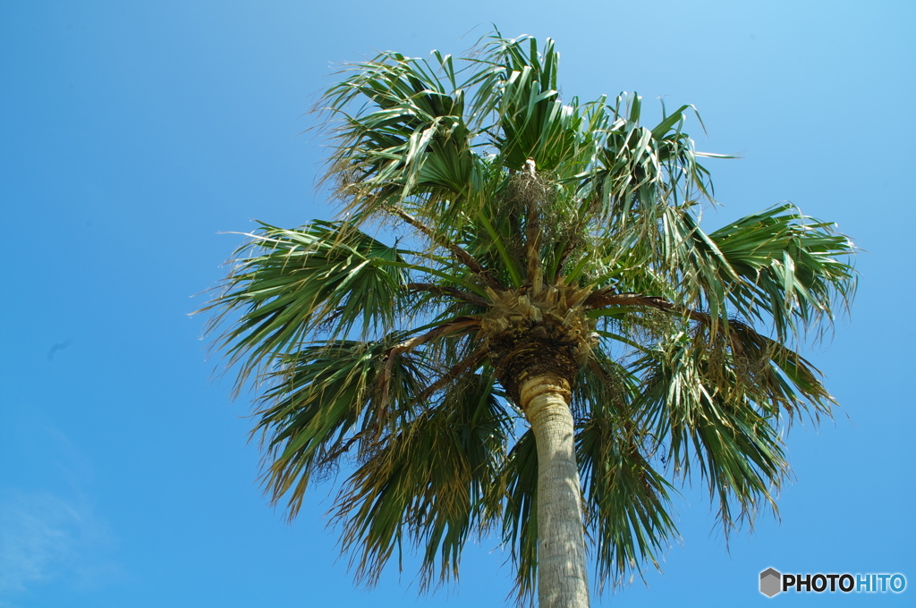 まだまだ夏空