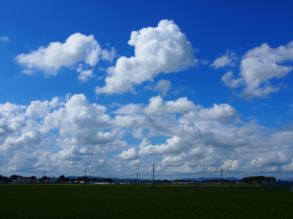 夏空