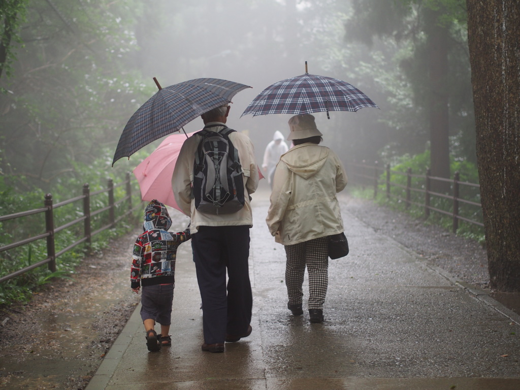 雨の散歩道