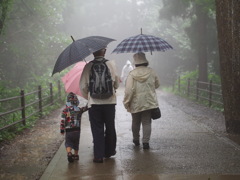 雨の散歩道