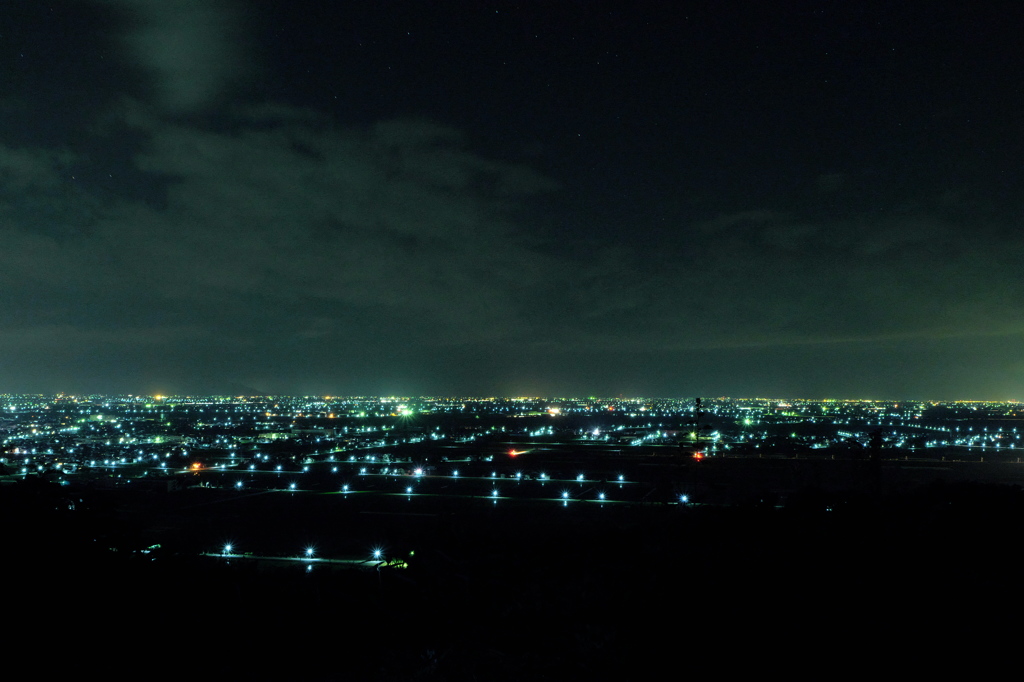 大崎山公園