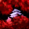 真紅に染まる鶴ケ城